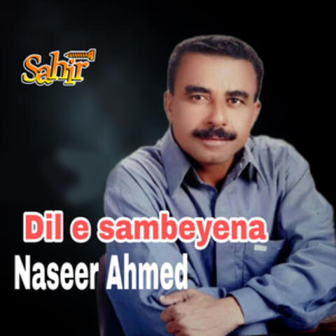 Dil E Sambeyena