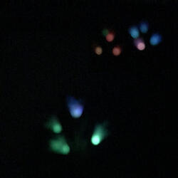 Firefly