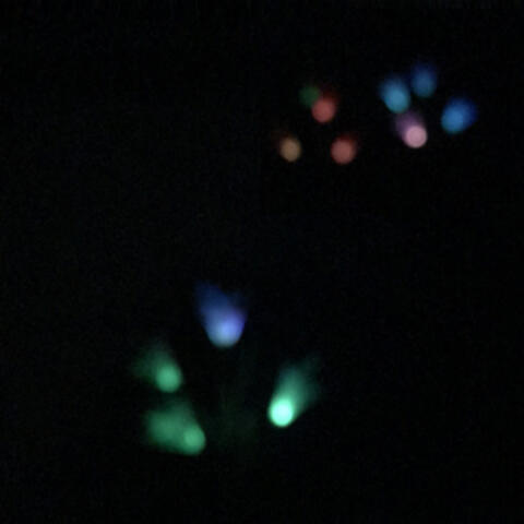 Firefly