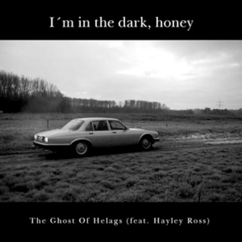 I'm in the Dark, Honey