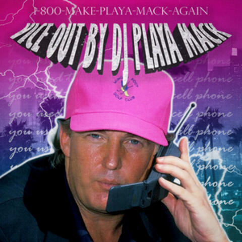 Vice Out