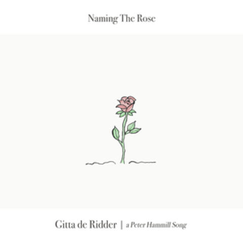 Naming the Rose