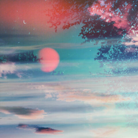 Finding Stillness II