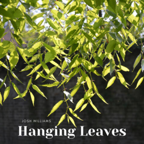 Hanging Leaves