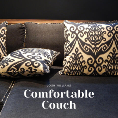 Comfortable Couch