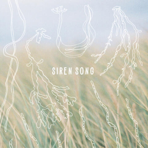 Siren Song
