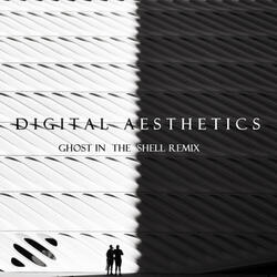 Digital Aesthetics