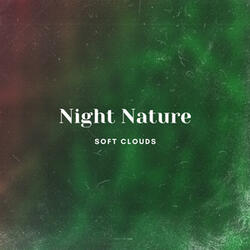 Night Nature