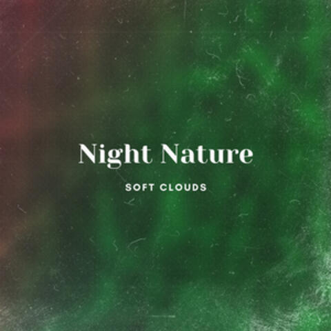 Night Nature