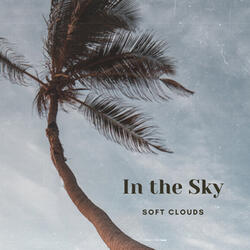 In the Sky
