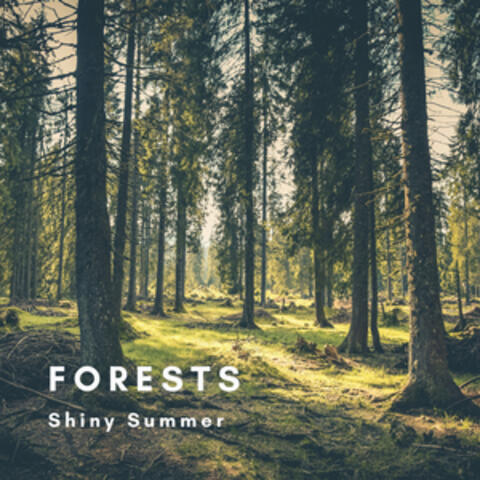Forests