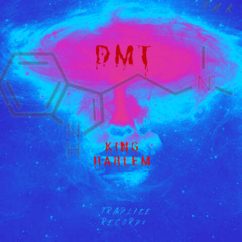 Dmt
