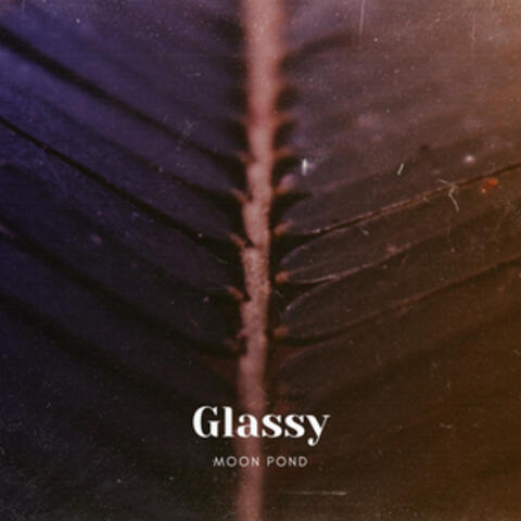 Glassy
