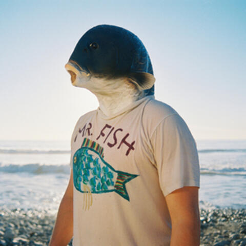 Mr. Fish
