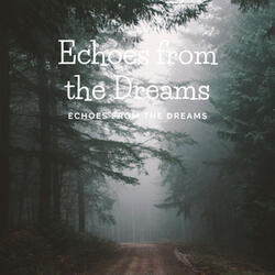 Echoes from the Dreams