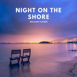 Night on the Shore