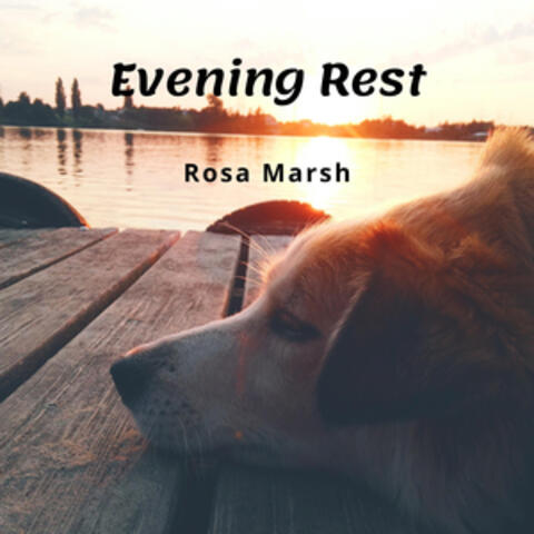 Evening Rest