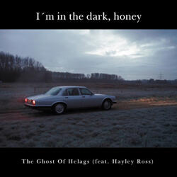 I'm in the Dark, Honey