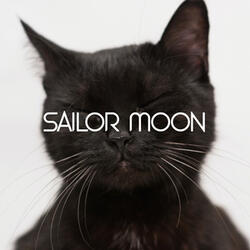 Sailor Moon