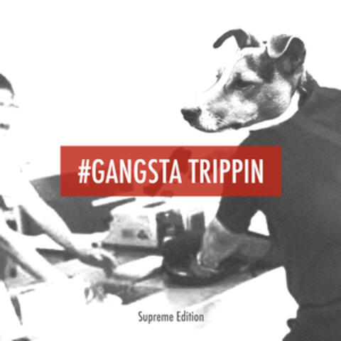 #Gangsta Trippin