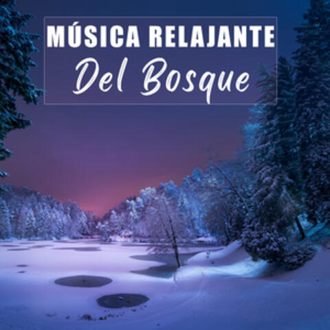 Música Relajante del Bosque