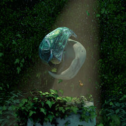 Forest Coloss