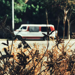 Impatience