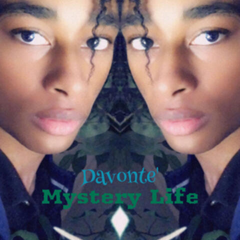 Mystery Life