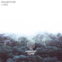 The Ambient Zone: Collection 001