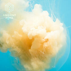 Mindful Meditation 001 : The Ambient Zone (Continuous Mix)