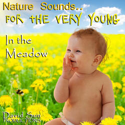 In the Meadow