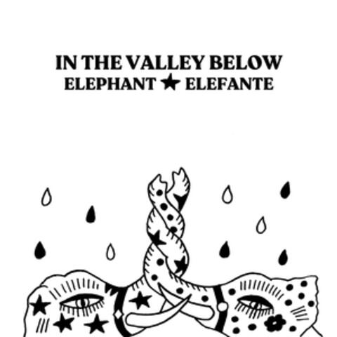 Elephant / Elefante