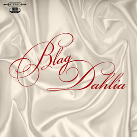 Blag Dahlia