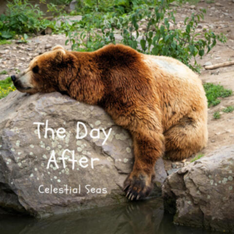 The Day After