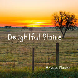 Delightful Plains