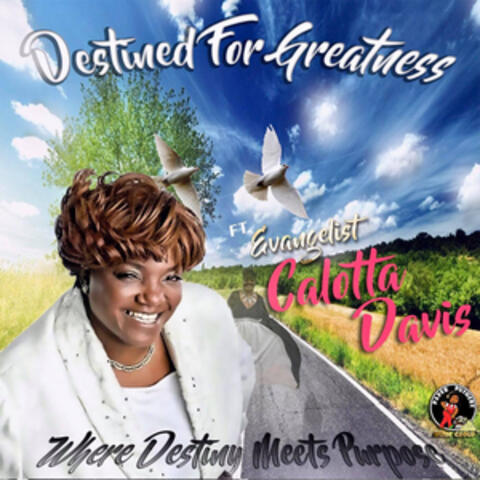 Destined for Greatness: Where Destiny Meets Purpose