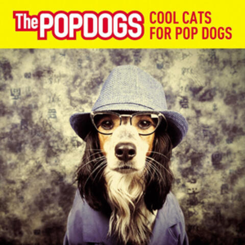 Cool Cats for Pop Dogs