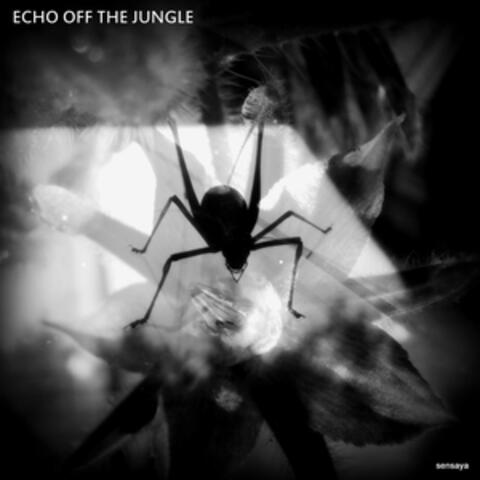 Echo Off the Jungle