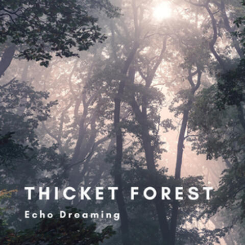 Thicket Forest