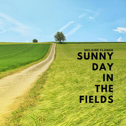 Sunny Day in the Fields