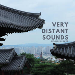 Very Distant Sounds
