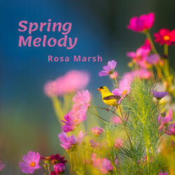 Spring Melody