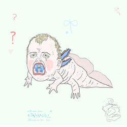 Questions
