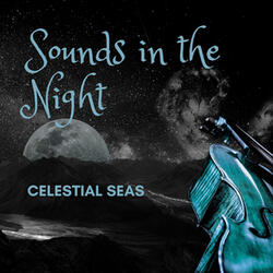 Sounds in the Night