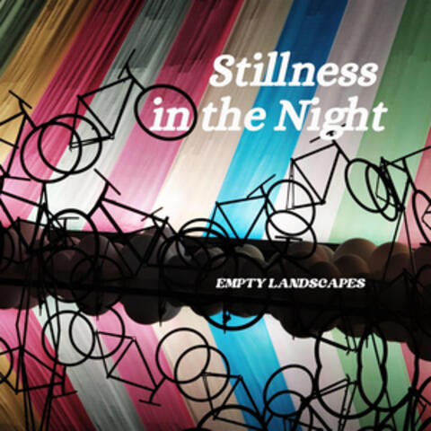 Stillness in the Night