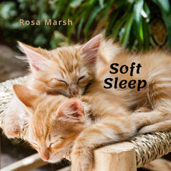 Soft Sleep