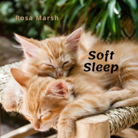Soft Sleep