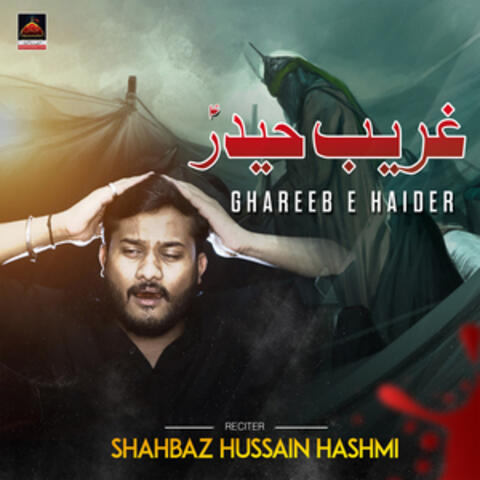 Ghareeb E Haider