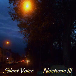 Nocturne #22