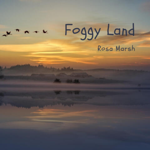 Foggy Land
